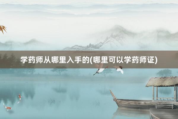 学药师从哪里入手的(哪里可以学药师证)