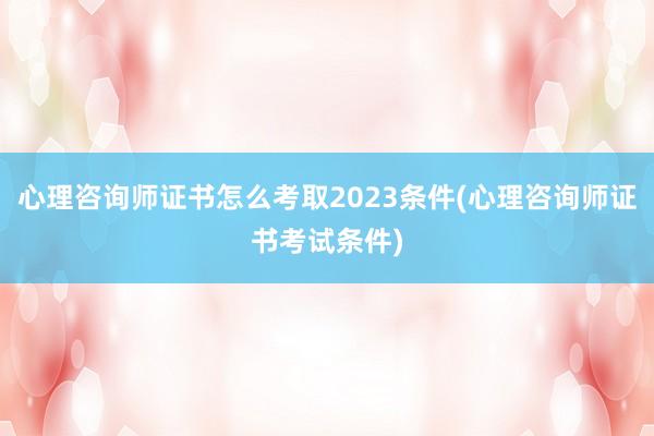 心理咨询师证书怎么考取2023条件(心理咨询师证书考试条件)