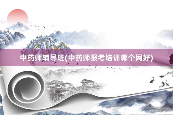 中药师辅导班(中药师报考培训哪个网好)