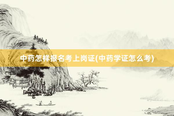 中药怎样报名考上岗证(中药学证怎么考)
