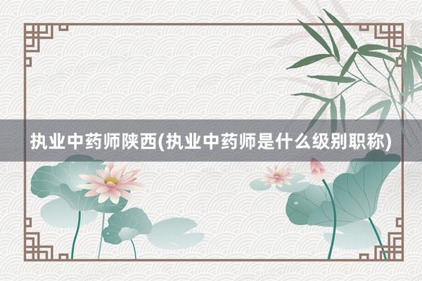 执业中药师陕西(执业中药师是什么级别职称)