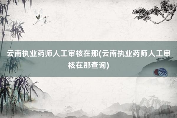 云南执业药师人工审核在那(云南执业药师人