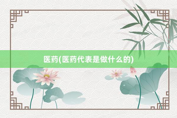 医药(医药代表是做什么的)
