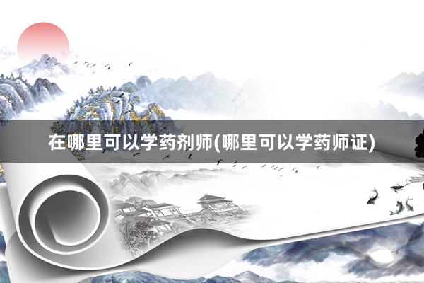 在哪里可以学药剂师(哪里可以学药师证)