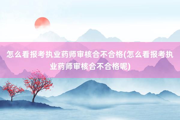 怎么看报考执业药师审核合不合格(怎么看报考执业药师审核合不合格呢)